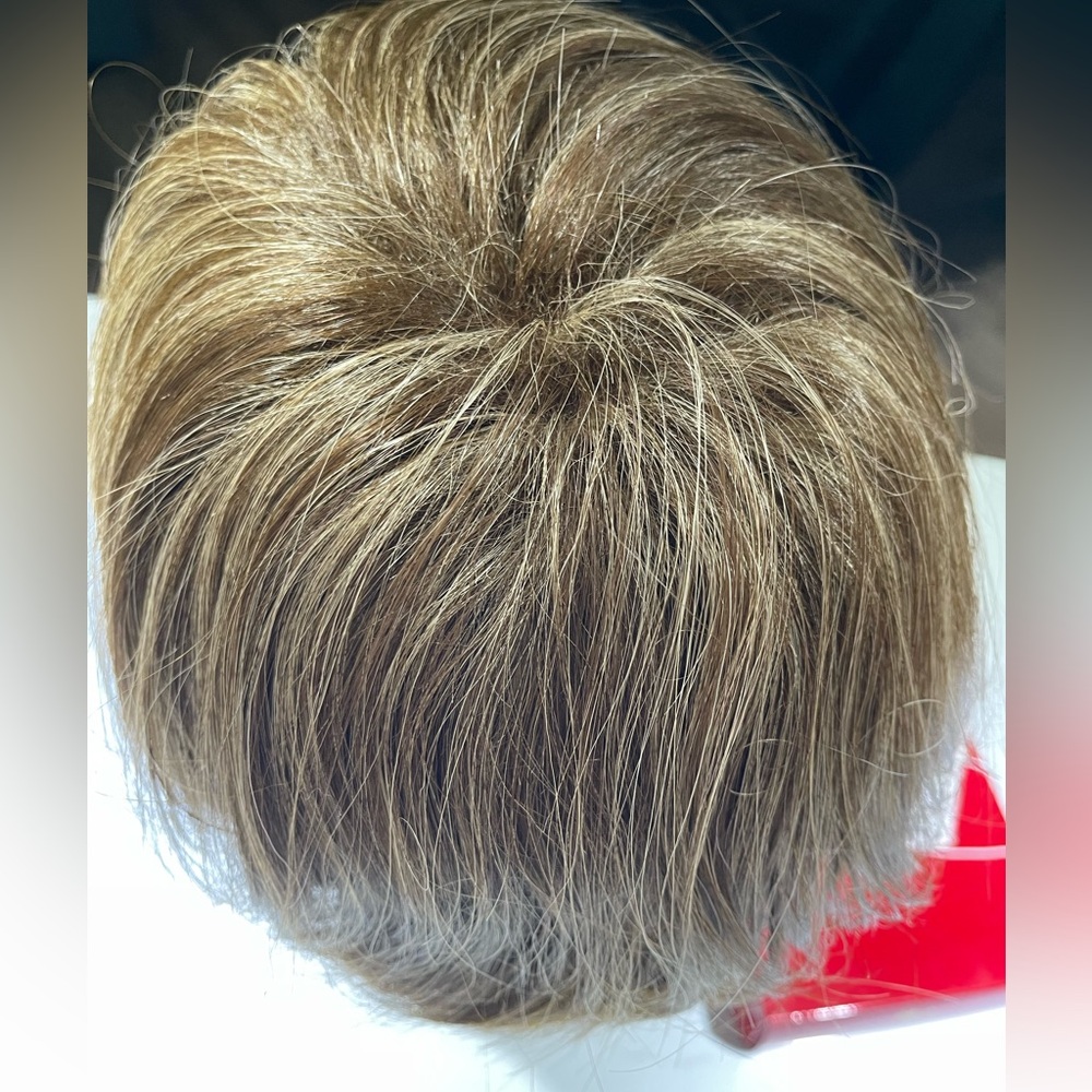 Brown and Tan Layered Wig with Feathered Ends - Picture 6 of 10